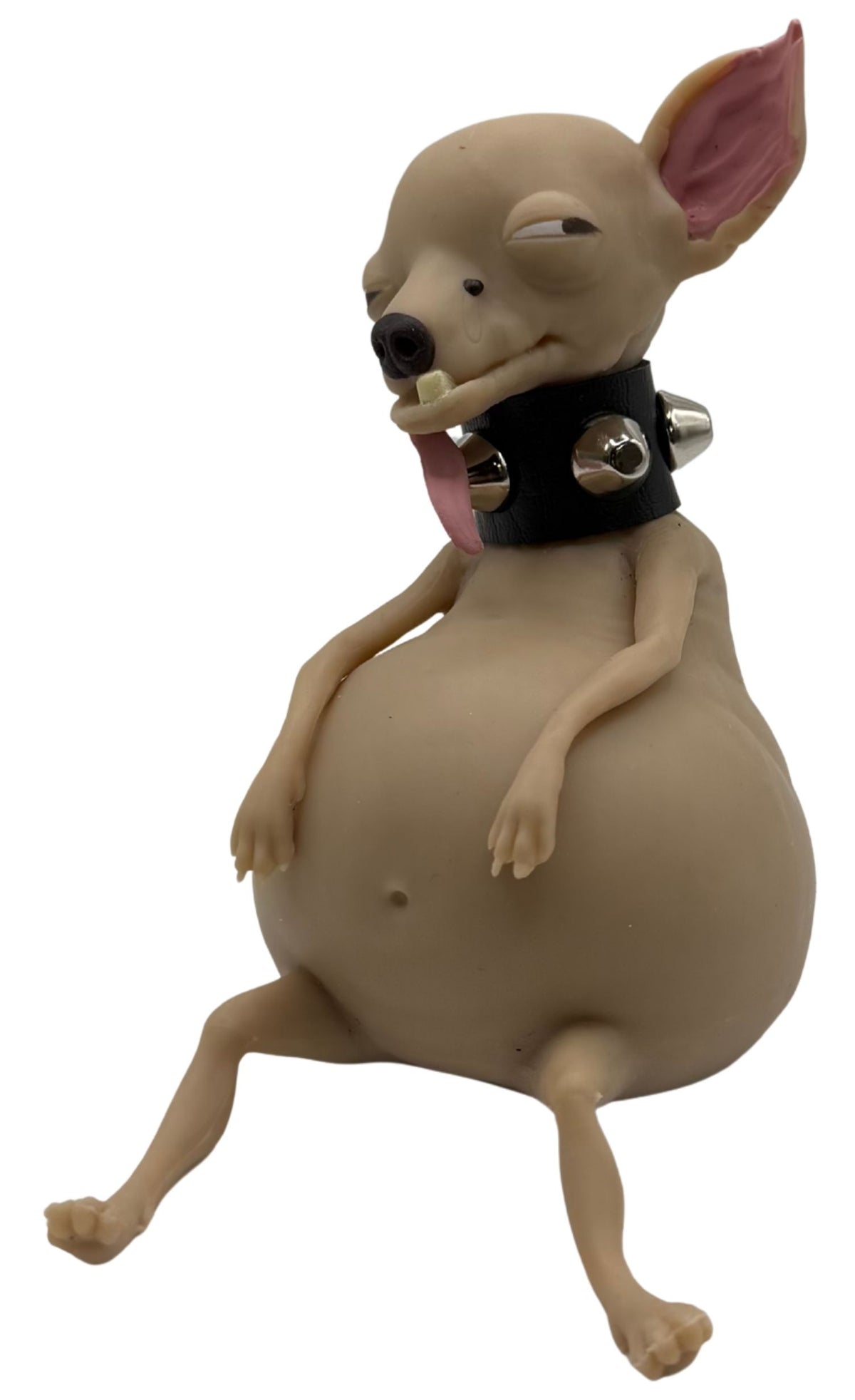 TheMugly Dog