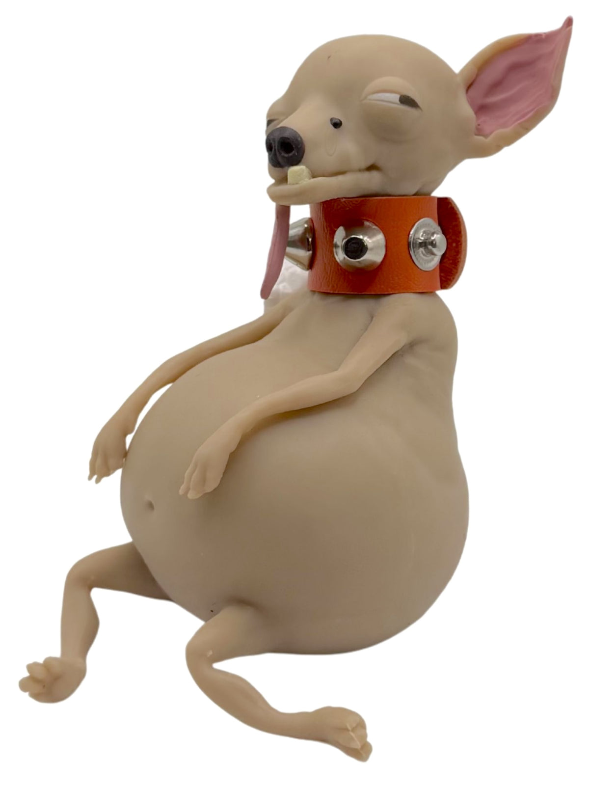 TheMugly Dog