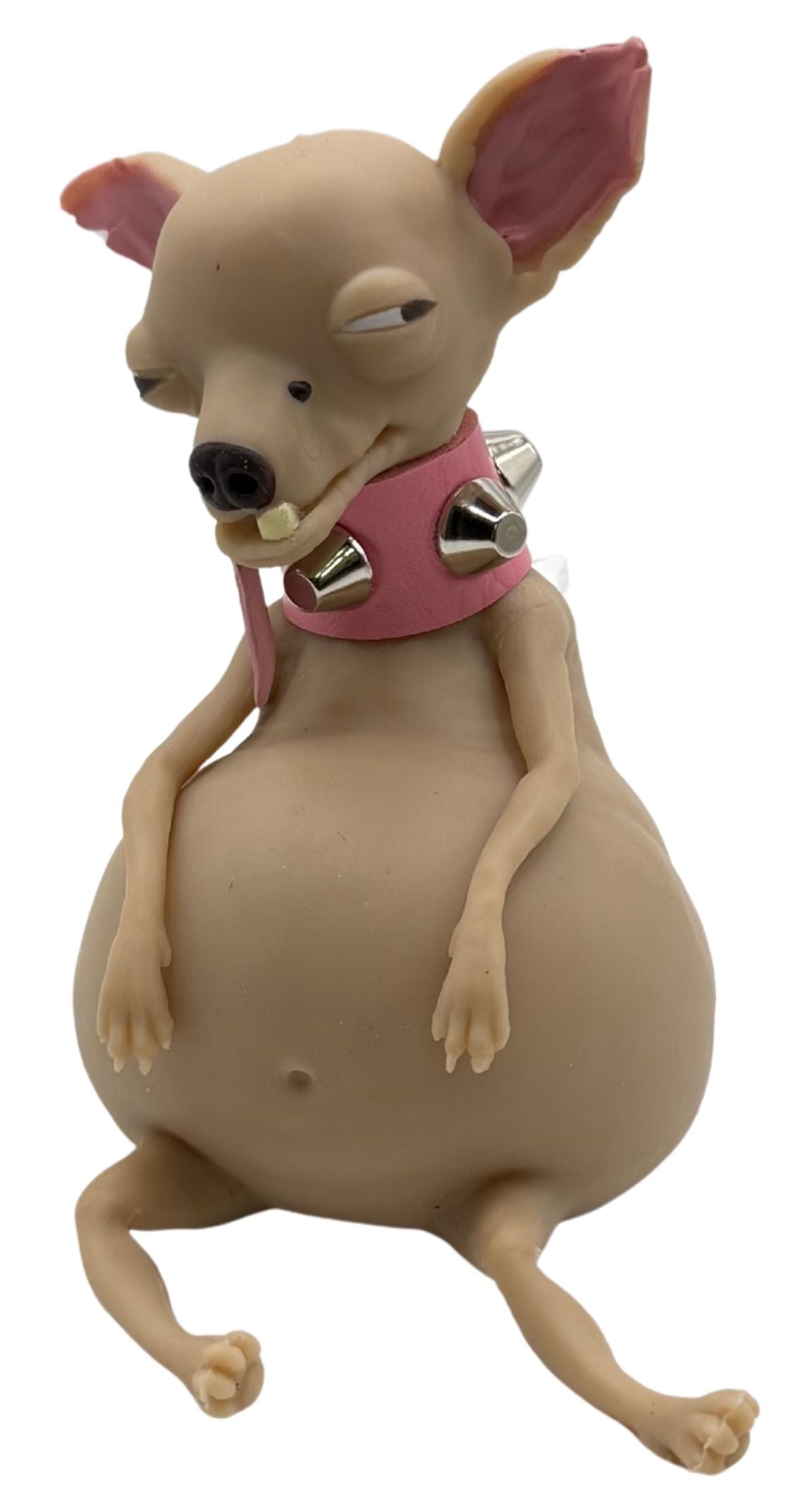 TheMugly Dog