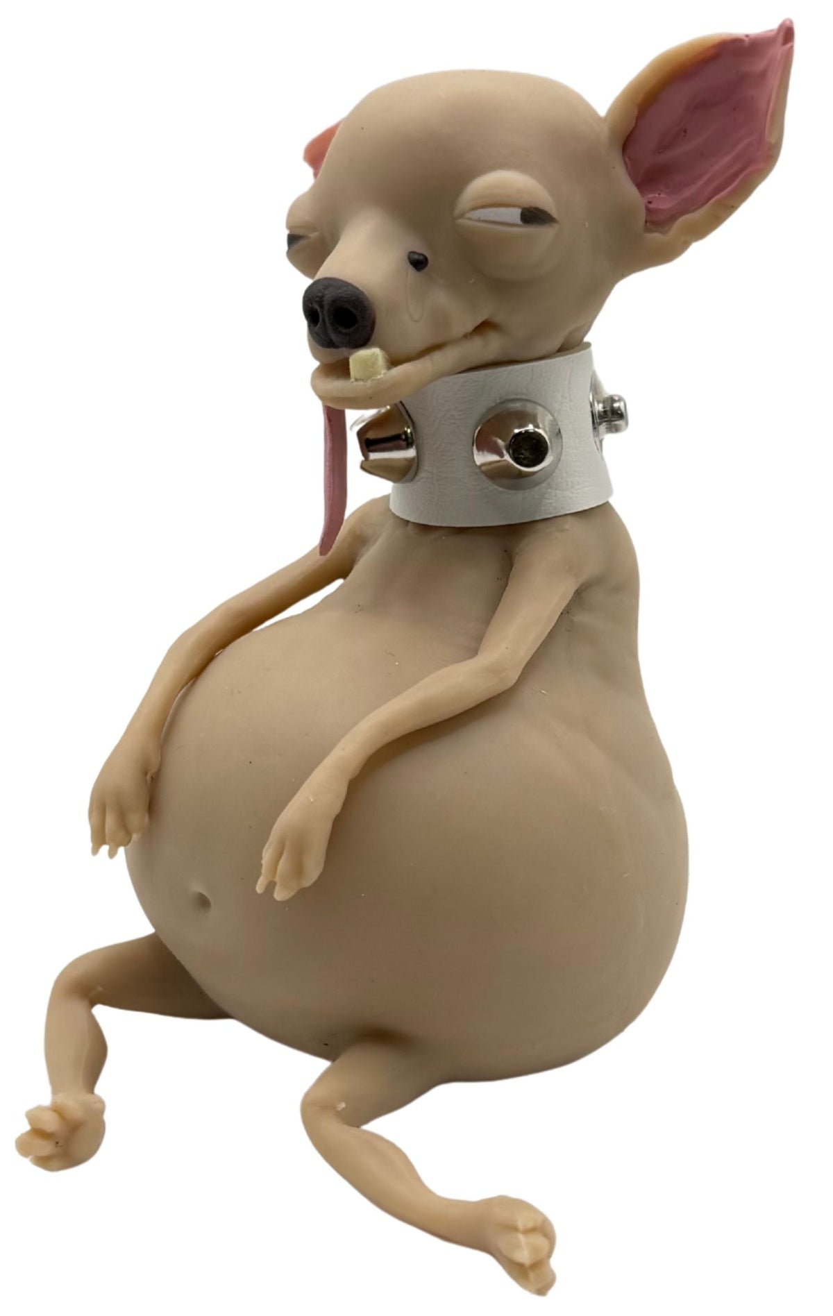 TheMugly Dog