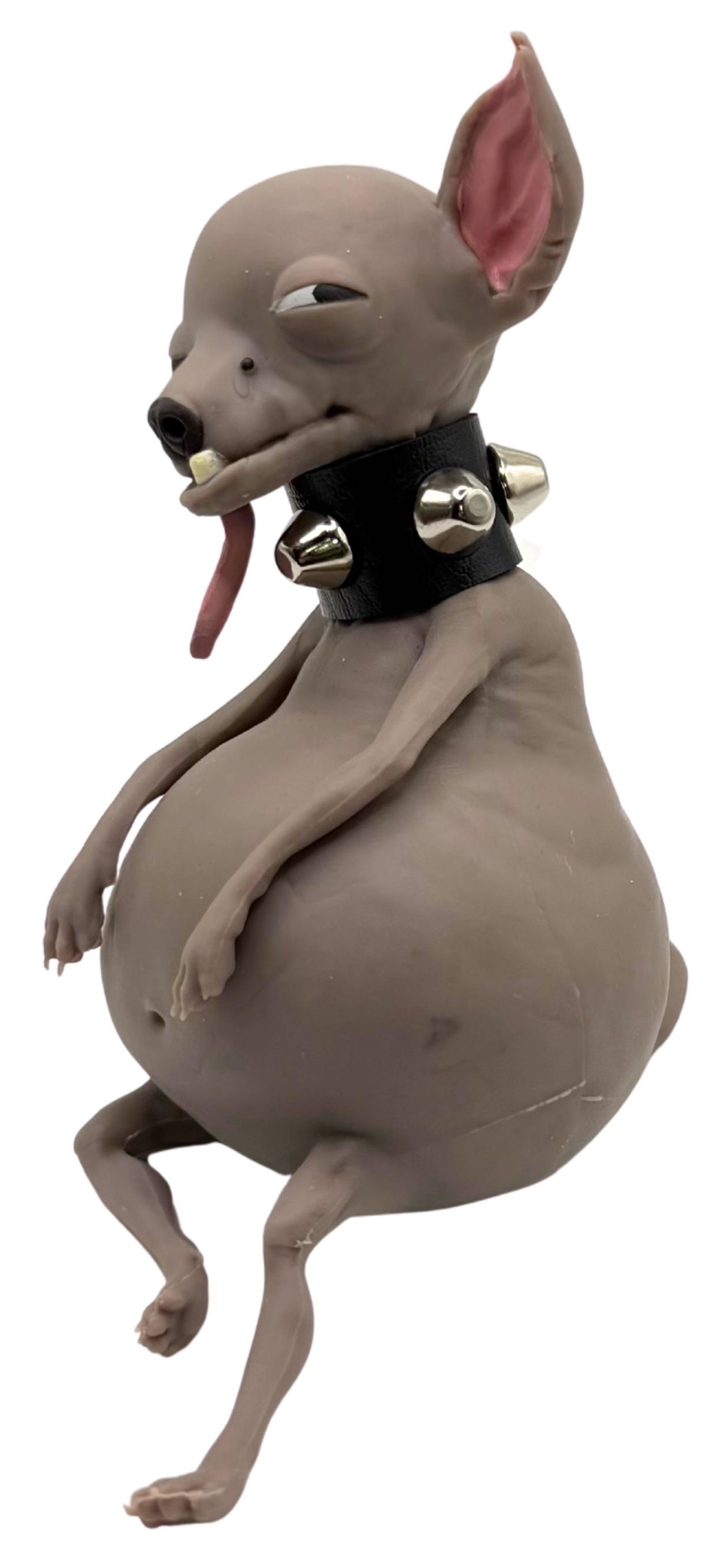 TheMugly Dog