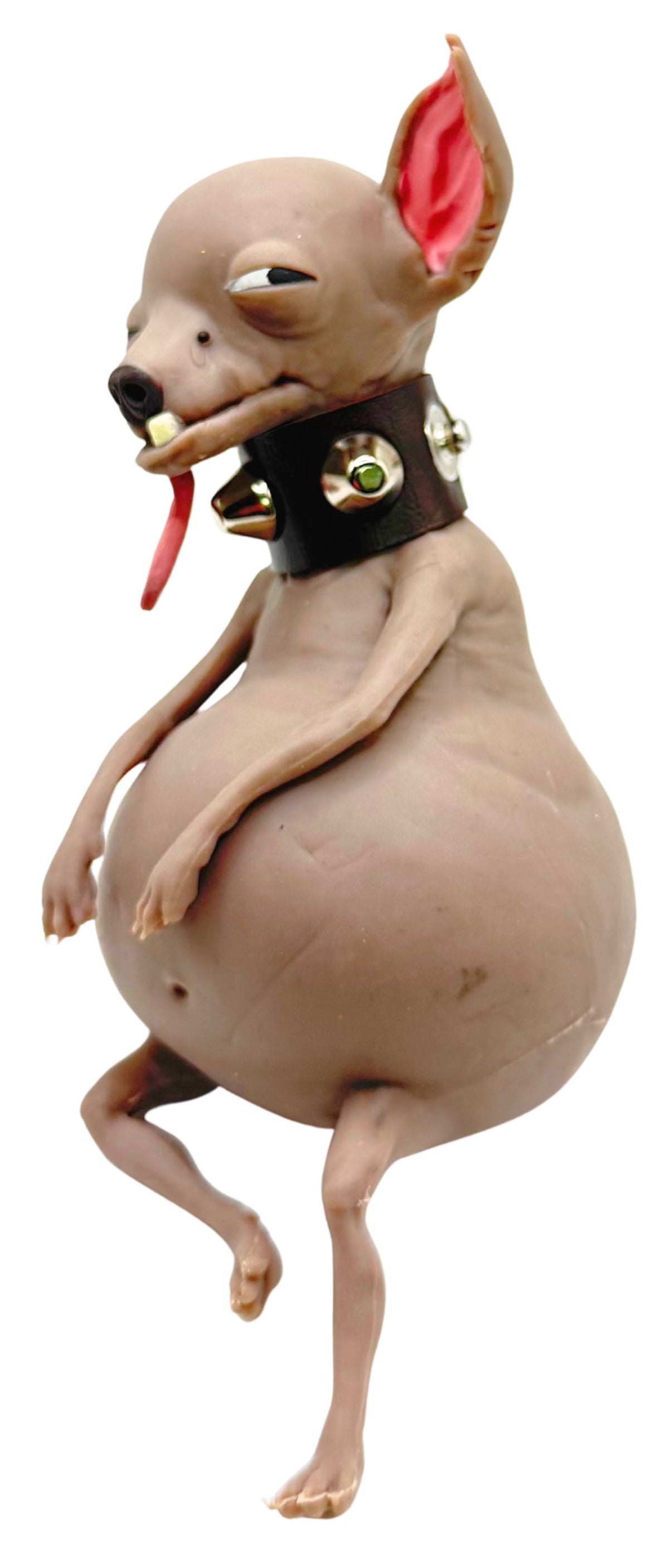 TheMugly Dog