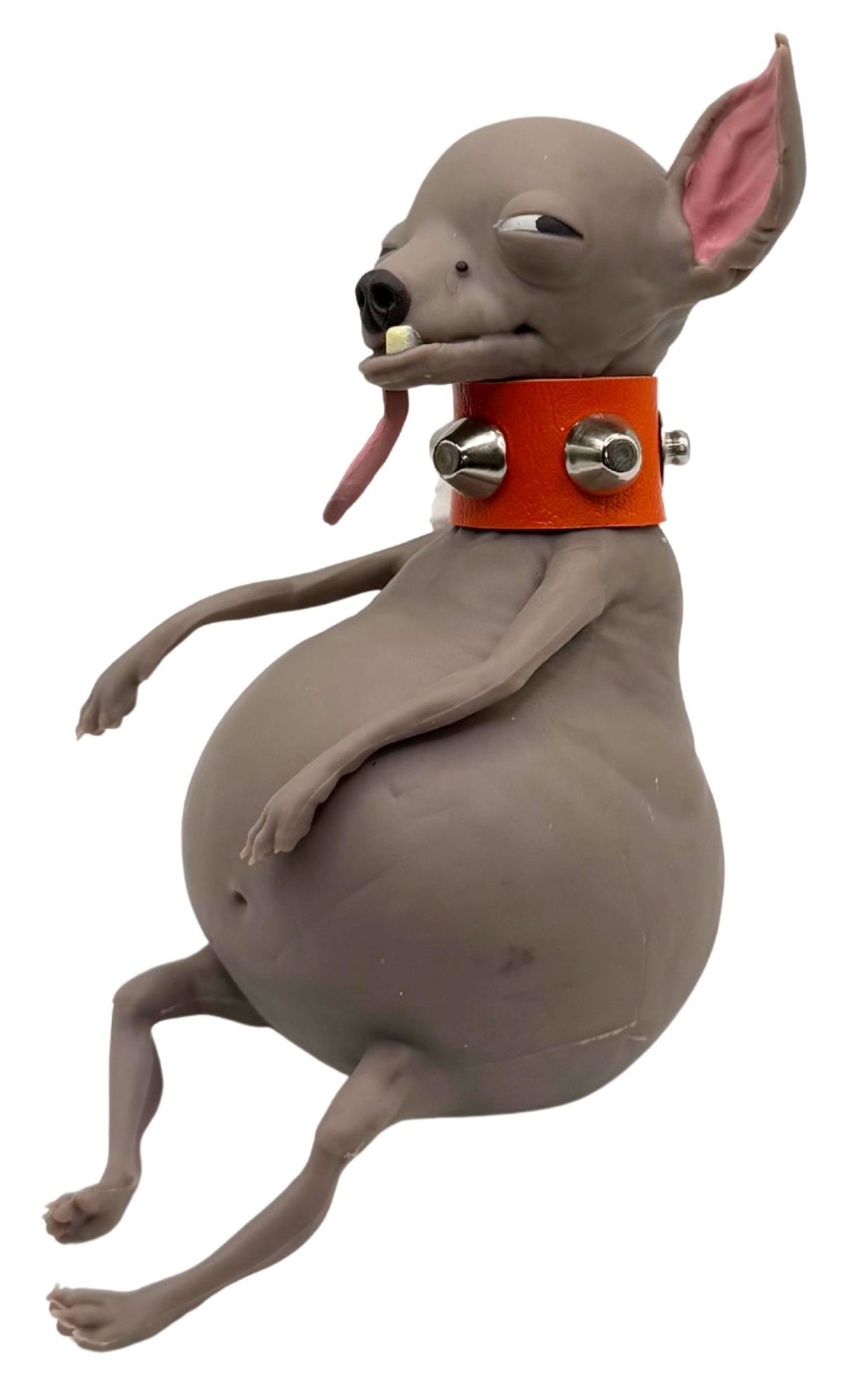 TheMugly Dog