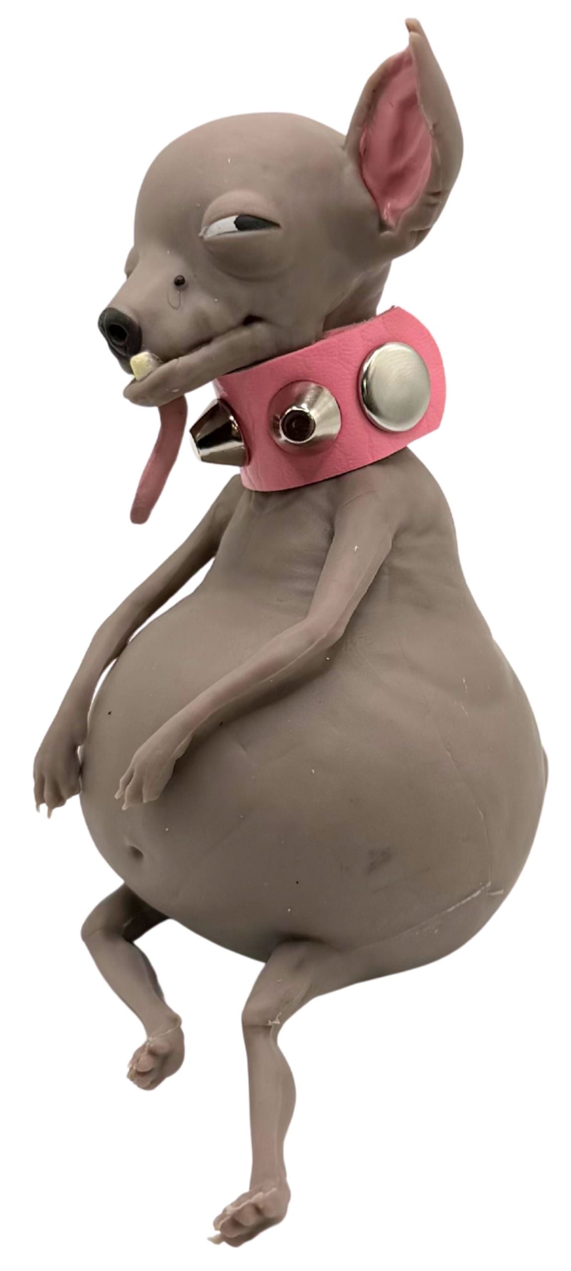 TheMugly Dog