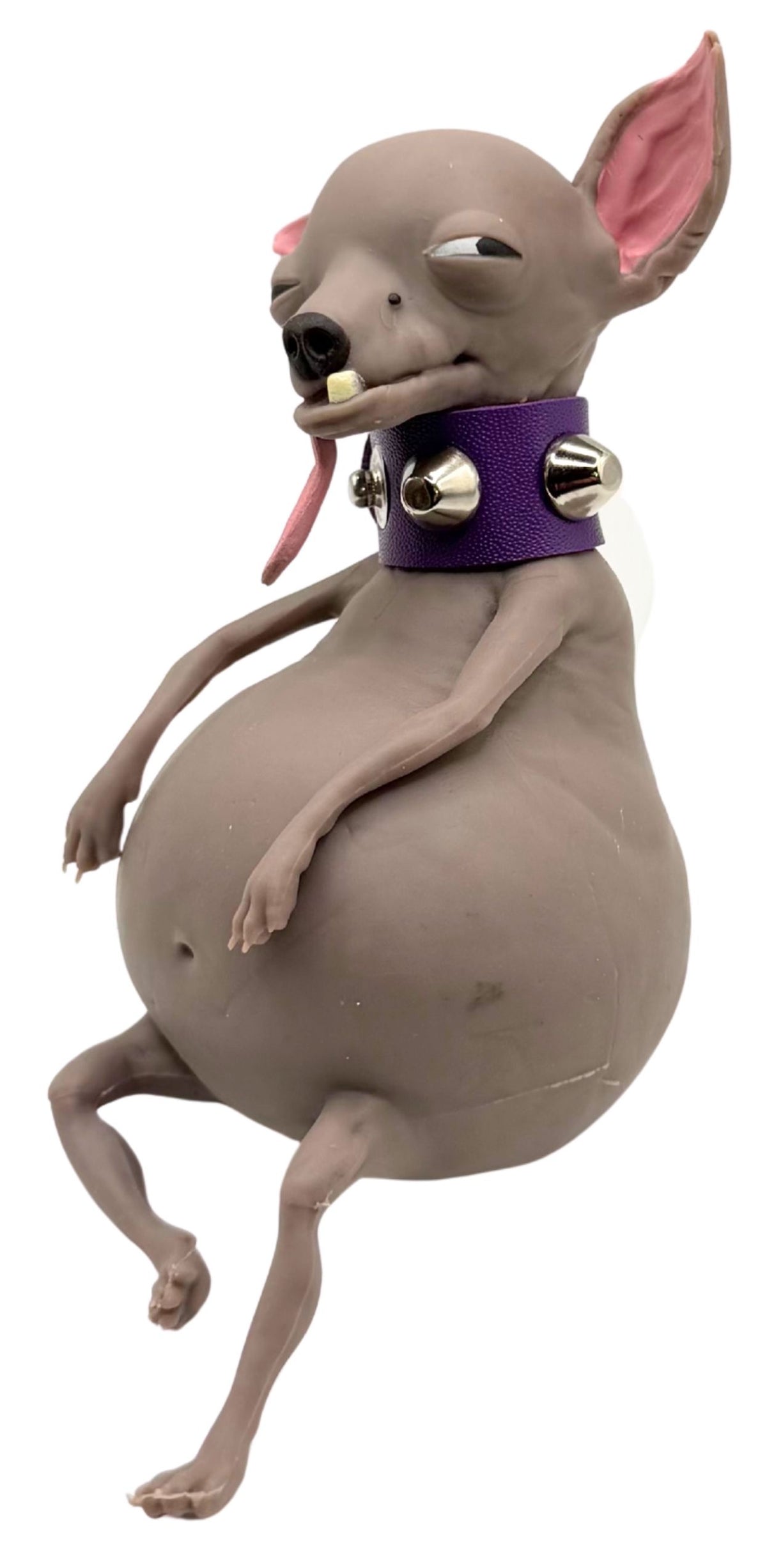 TheMugly Dog