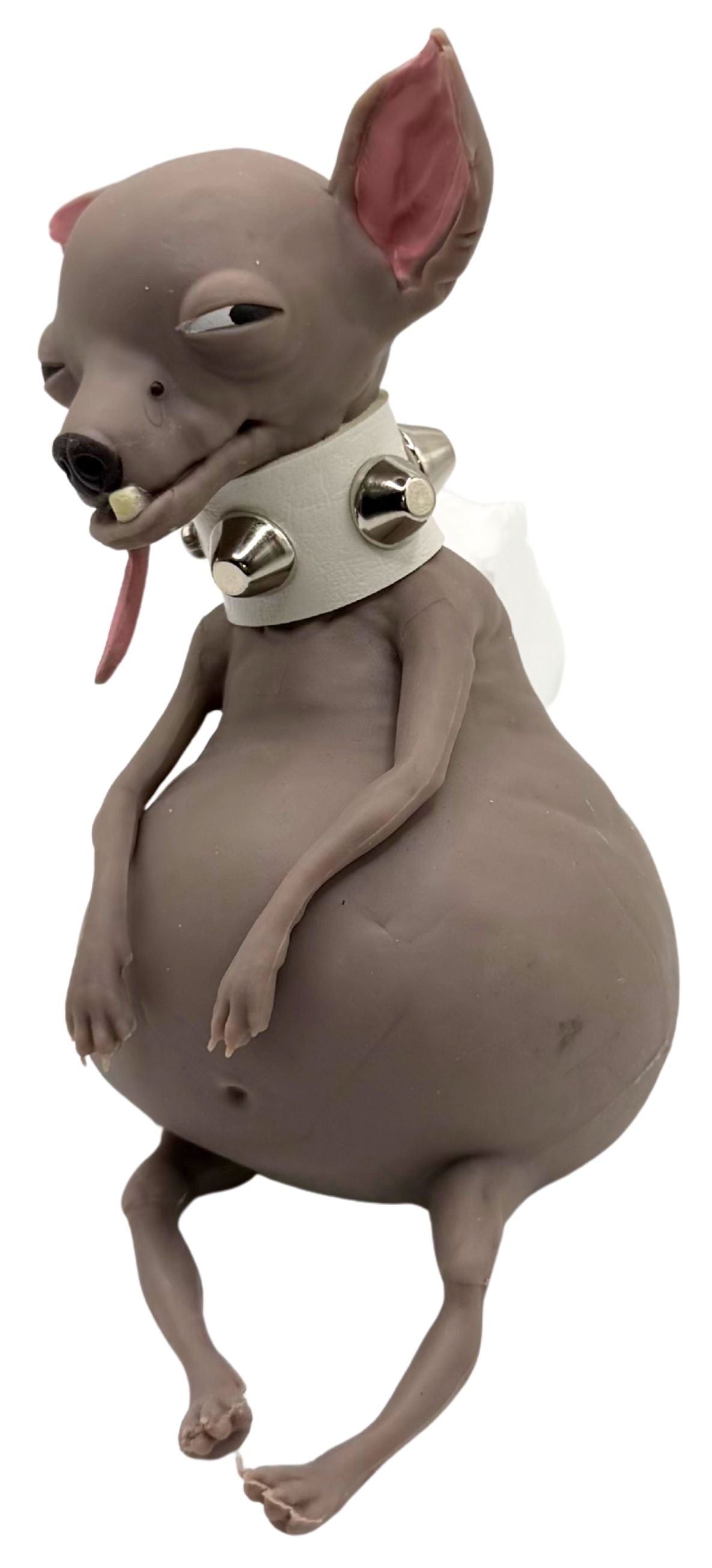TheMugly Dog