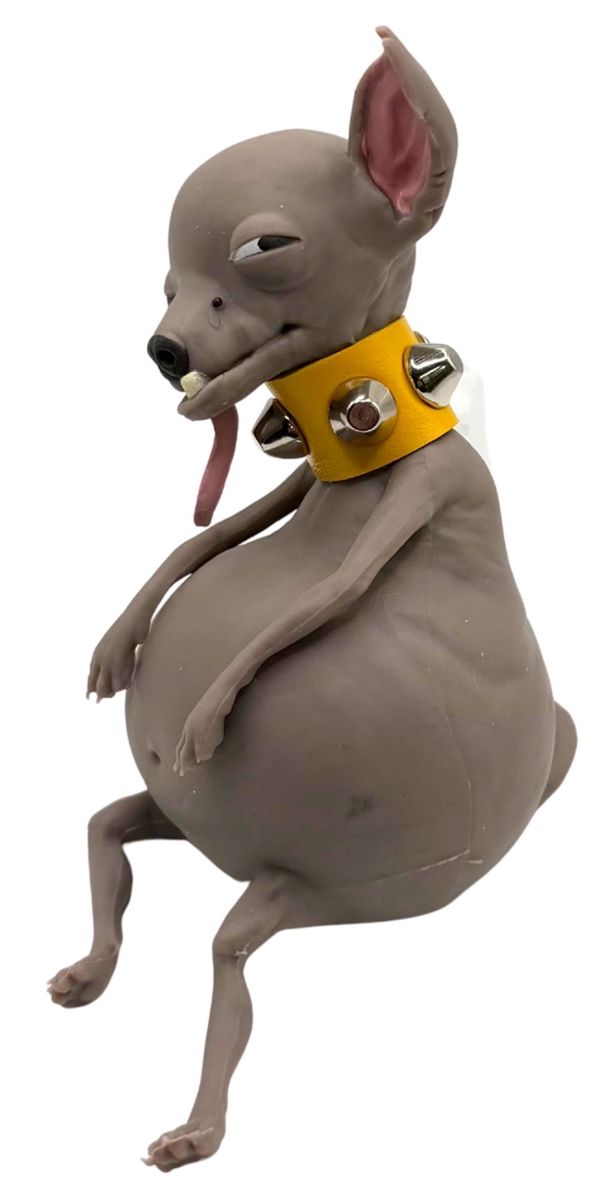 TheMugly Dog